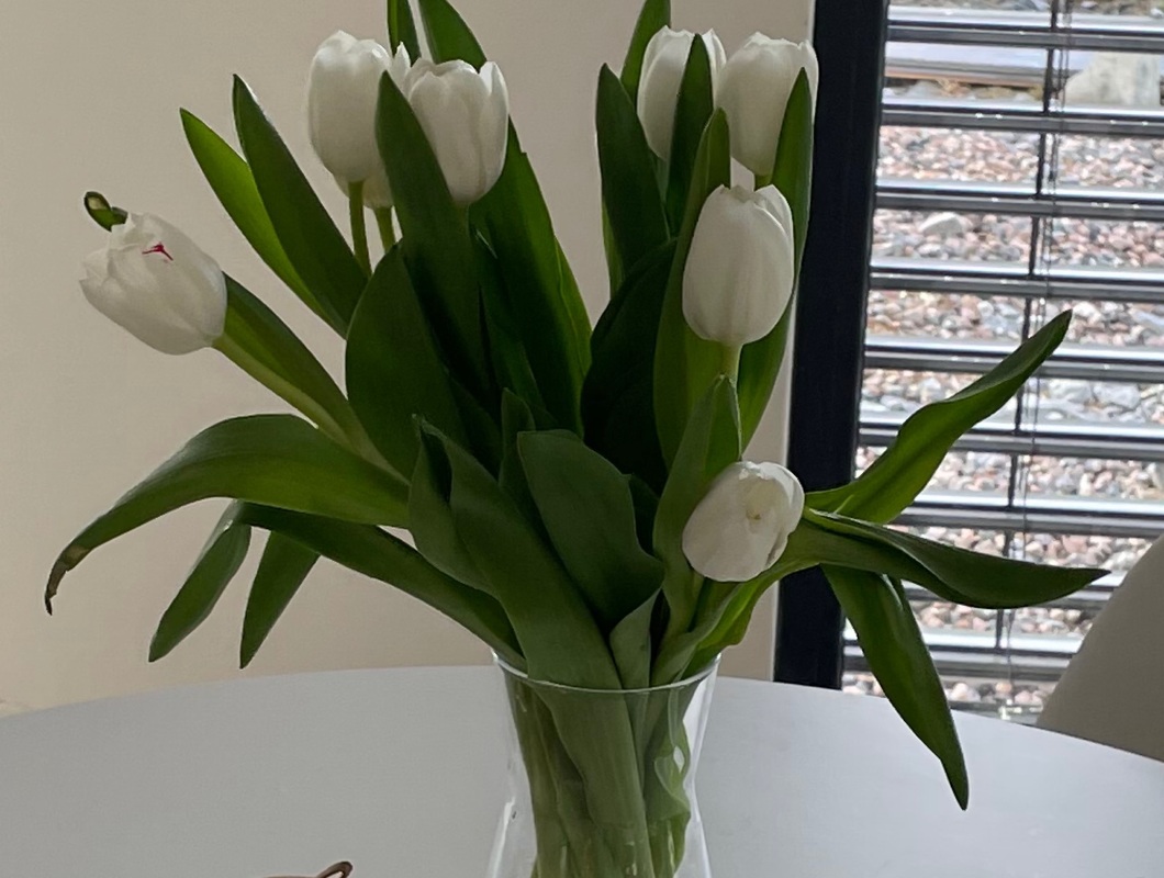 Zakázka do třetice